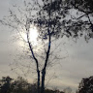 Meet your Posher, Amna